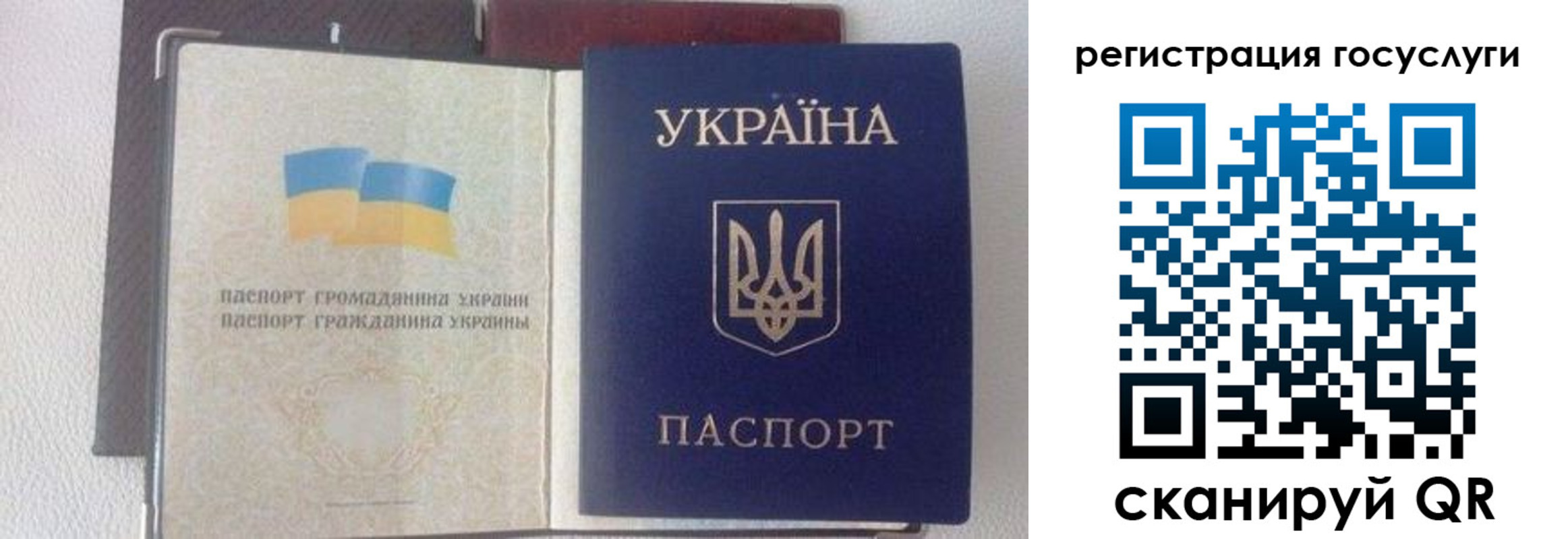 прописка для работы в Советской Гавани